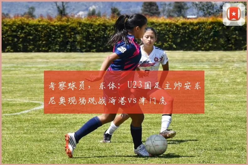 考察球员，东体：U23国足主帅安东尼奥现场观战海港vs津门虎