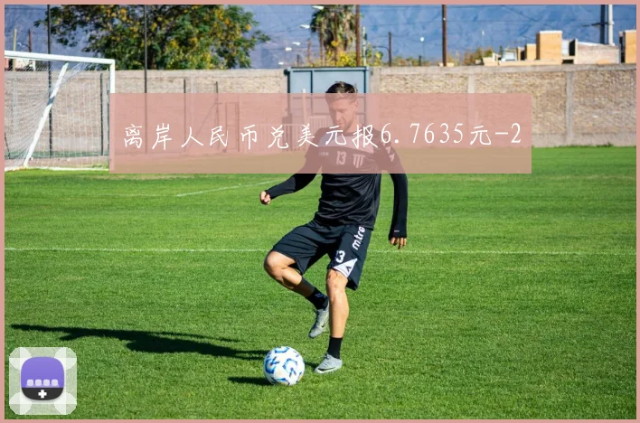 离岸人民币兑美元报6.7635元