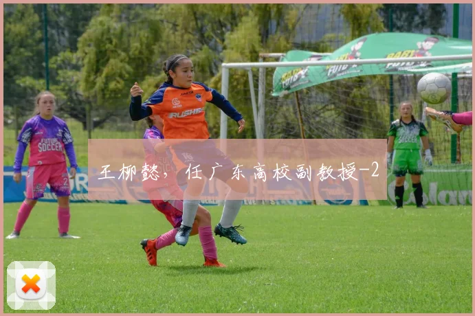 王柳懿，任广东高校副教授