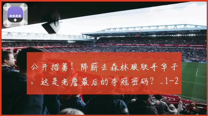 公开招募！降薪去森林狼联手华子，这是老詹最后的夺冠密码？_1