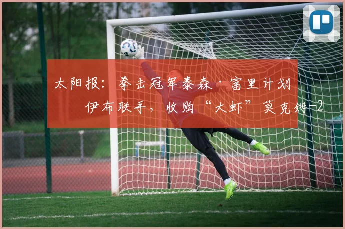 太阳报:拳击冠军泰森·富里计划与伊布联手,收购“大虾”莫克姆