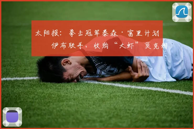 太阳报：拳击冠军泰森·富里计划与伊布联手，收购“大虾”莫克姆